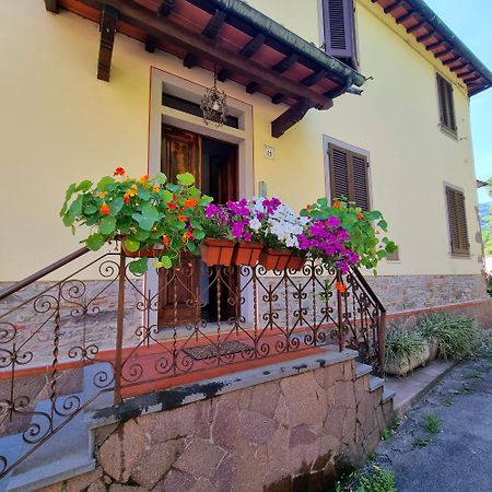 Bed and breakfast A Collodi Io & Mamma100 M Dal Parco Di Pinocchio Extérieur photo